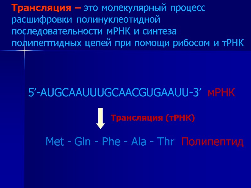 Трансляция – это молекулярный процесс расшифровки полинуклеотидной последовательности мРНК и синтеза полипептидных цепей при